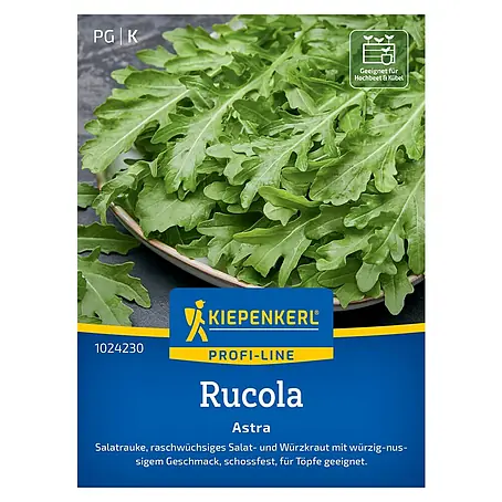 Kiepenkerl Profi-Line Salatsamen Rucola Astra