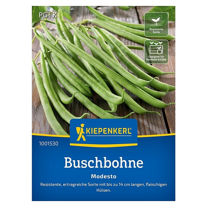 Kiepenkerl Gemüsesamen Buschbohne Modesto (Phaseolus vulgaris, Erntezeit: Juli) | BAUHAUS