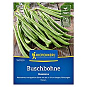 Kiepenkerl Gemüsesamen Buschbohne Modesto (Phaseolus vulgaris, Erntezeit: Juli) | BAUHAUS