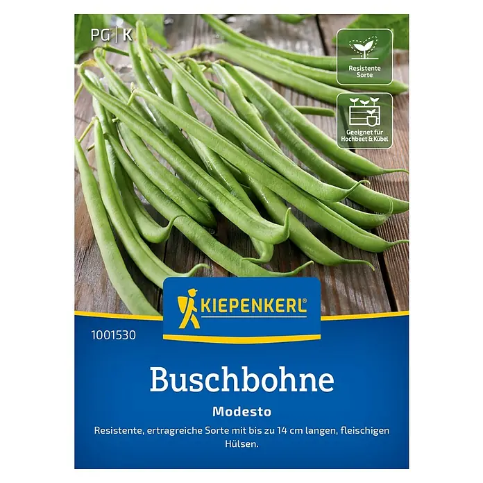Kiepenkerl Gemüsesamen Buschbohne Modesto - Phaseolus vulgaris, Erntezeit: Juli - Sämereien für Buschbohnen Modesto, eine resistente und ertragreiche Sorte mit bis zu 14 cm langen, fleischigen Hülsen.
