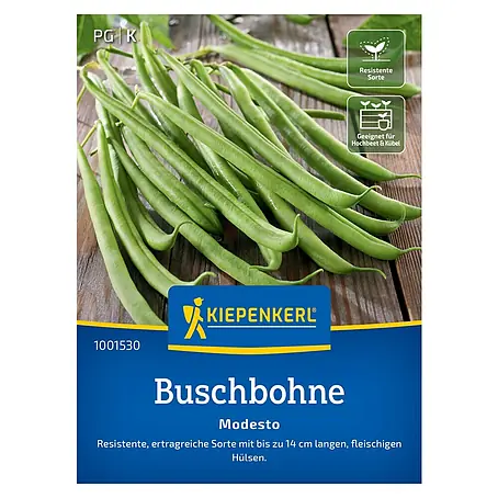 Kiepenkerl  Gemüsesamen Buschbohne Modesto