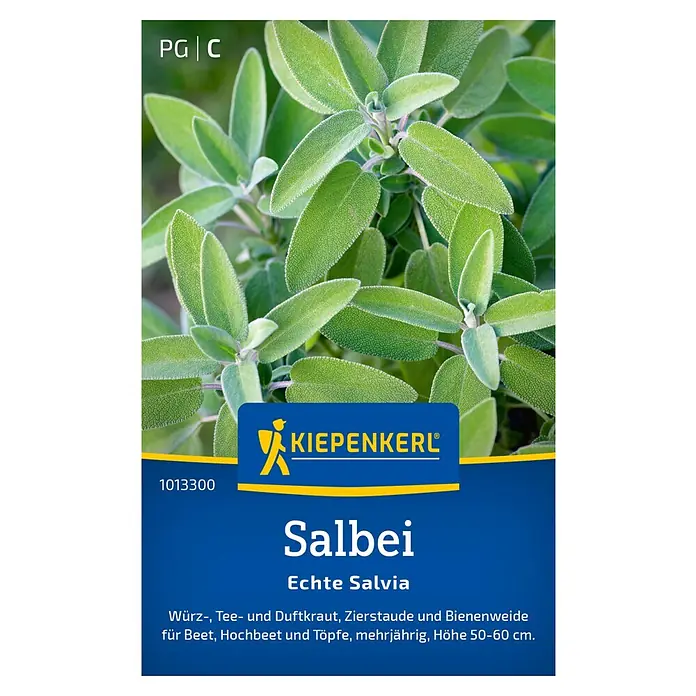 Kiepenkerl Kräutersamen Salbei Echte Salvia - Salvia officinalis, Saatzeit: März, Erntezeit: Juni - Das Bild zeigt eine Packung 'Salbei Echte Salvia' von Kiepenkerl, eine mehrjährige Gewürz-, Tee- und Duftpflanze für Beet, Hochbeet und Töpfe.
