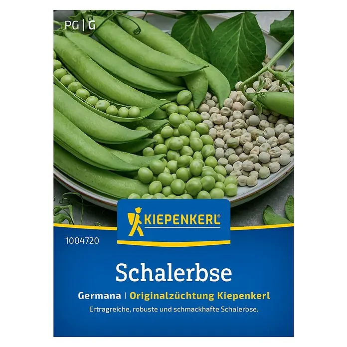 Kiepenkerl Gemüsesamen Schalerbse - Pisum sativum, Erntezeit: Juni - Abbildung einer "Schalerbse" Samenpackung der Marke "Kiepenkerl".\n