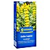 Kiepenkerl Gründüngung Gelbe Lupine 