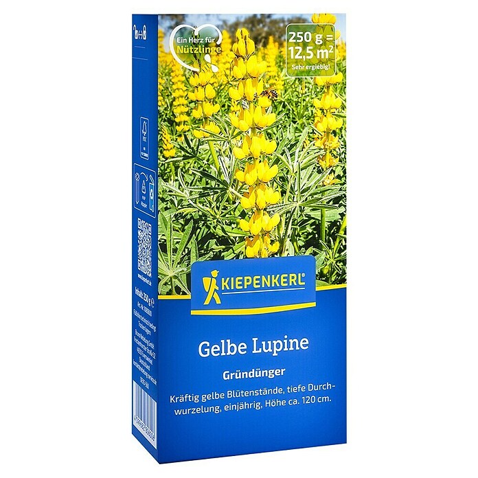 Kiepenkerl Gründüngung Gelbe Lupine (Lupinus luteus, Gelb, Inhalt reicht für ca. 12,5 Quadratmeter) | BAUHAUS