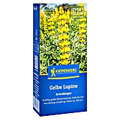 Kiepenkerl Gründüngung Gelbe Lupine (Lupinus luteus, Gelb, Inhalt reicht für ca. 12,5 Quadratmeter) | BAUHAUS