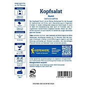 Kiepenkerl Profi-Line Salatsamen Winterkopfsalat Humil (Lactuca sativa var. capitata, Erntezeit: März) | BAUHAUS