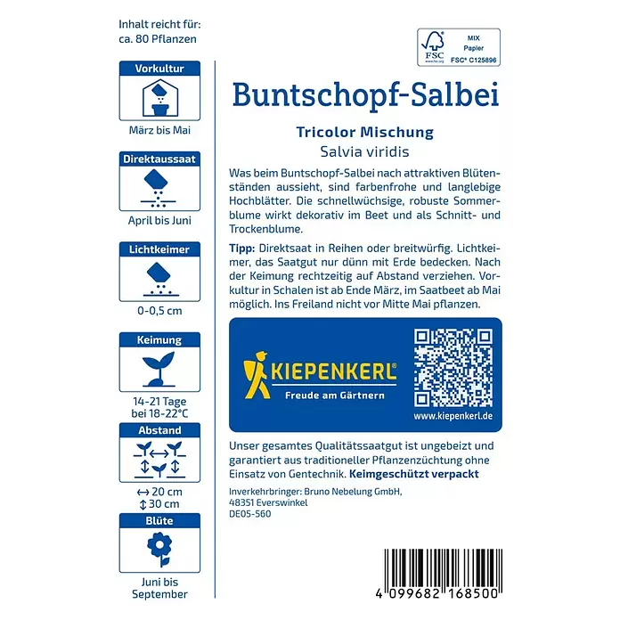 Kiepenkerl Blumensamen Buntschopf-Salbei Tricolor - Salvia viridis - Samentüte für Buntschopf-Salbei (Salvia viridis) mit Pflanzanleitung und Produktinformationen.