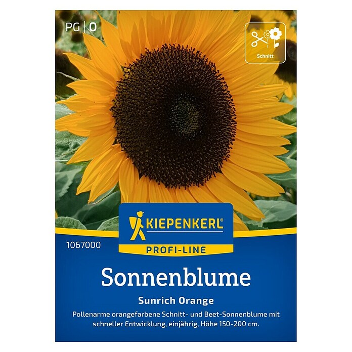 Kiepenkerl Profi-Line Blumensamen Sonnenblume (Helianthus annuus, Gelb-Orange) | BAUHAUS