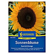 Kiepenkerl Profi-Line Blumensamen Sonnenblume (Helianthus annuus, Gelb-Orange) | BAUHAUS