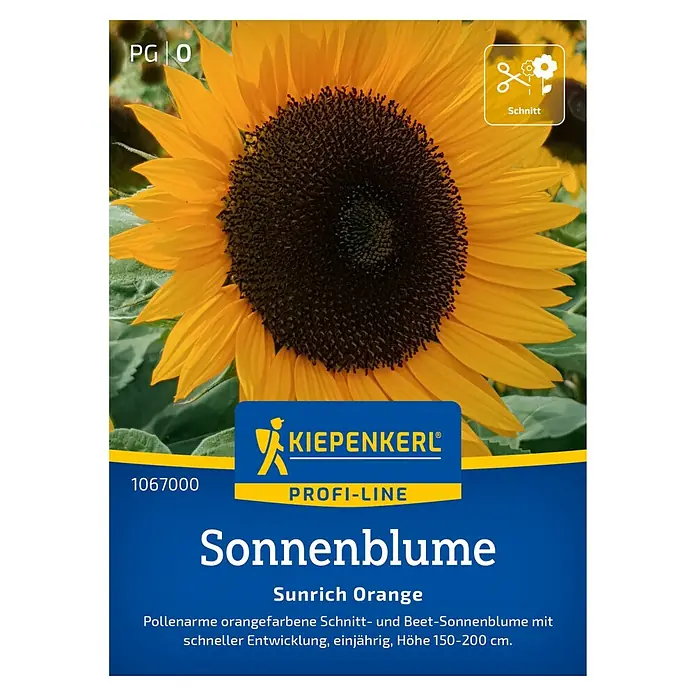 Kiepenkerl Profi-Line Blumensamen Sonnenblume - Helianthus annuus, Gelb-Orange - Sonnenblumen-Samen Sunrich Orange von KIEPENKERL. Die Sonnenblume ist pollenarm, orangefarben und einjährig mit einer Höhe von 150-200 cm.