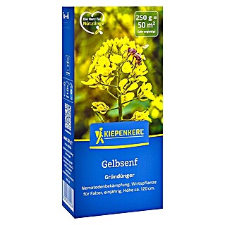 Kiepenkerl Gründüngung Gelbsenf (Sinapis alba, 50 m²)