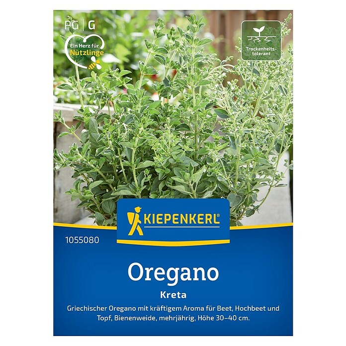 Kiepenkerl Profi-Line Kräutersamen Oregano Kreta (Origanum vulgare subsp. viridulum, Erntezeit: Juni) | BAUHAUS