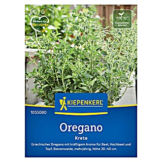 Kiepenkerl Profi-Line Kräutersamen Oregano Kreta (Origanum vulgare subsp. viridulum, Erntezeit: Juni)