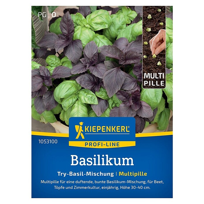 Kiepenkerl Profi-Line Kräutersamen Basilikum (Ocimum basilicum, Saatzeit: Mai, Erntezeit: Juni) | BAUHAUS