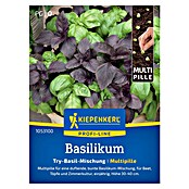 Kiepenkerl Profi-Line Kräutersamen Basilikum (Ocimum basilicum, Saatzeit: Mai, Erntezeit: Juni) | BAUHAUS