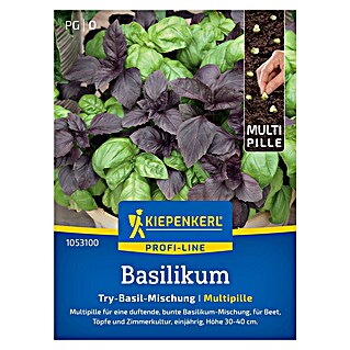 Kiepenkerl Profi-Line Kräutersamen Basilikum (Ocimum basilicum, Saatzeit: Mai, Erntezeit: Juni)