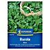 Kiepenkerl Profi-Line Salatsamen Rucola 