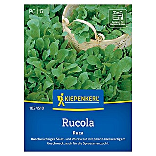 Kiepenkerl Profi-Line Salatsamen Rucola (Eruca sativa, Erntezeit: März)