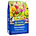 Kiepenkerl Profi-Line Blumenmischung Blütenteppich 