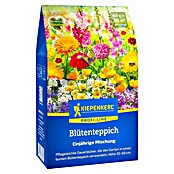 Kiepenkerl Profi-Line Blumenmischung Blütenteppich (Einjährig, Mischung, 30 cm - 60 cm) | BAUHAUS