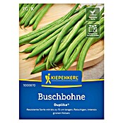 Kiepenkerl Gemüsesamen Buschbohne Duplika® (Phaseolus vulgaris var. nanus, Erntezeit: Juli) | BAUHAUS