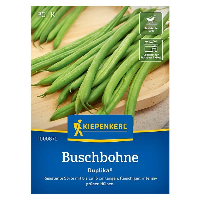 Kiepenkerl Gemüsesamen Buschbohne Duplika® - Phaseolus vulgaris var. nanus, Erntezeit: Juli - Abbildung der Buschbohne Duplika, einer resistenten Sorte mit bis zu 15 cm langen, fleischigen und intensiv grünen Hülsen.