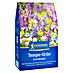 Kiepenkerl Gründüngung Tempo-Grün 