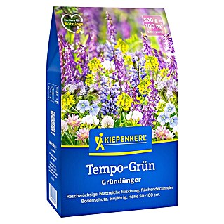 Kiepenkerl Gründüngung Tempo-Grün (Mischung, Inhalt reicht für ca. 100 Quadratmeter)