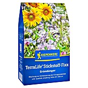 Kiepenkerl Gründüngung erraLife® Stickstoff-Fixx (Mischung, Inhalt reicht für ca. 100 Quadratmeter) | BAUHAUS
