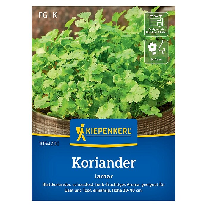 Kiepenkerl Profi-Line Kräutersamen Koriander Jantar (Coriandrum sativum, Saatzeit: April, Erntezeit: Juni) | BAUHAUS