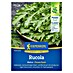 Kiepenkerl Profi-Line Salatsamen Rucola Astra PowerSaat 