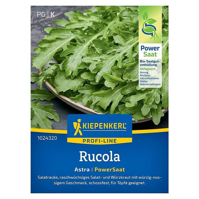 Kiepenkerl Profi-Line Salatsamen Rucola Astra PowerSaat (Eruca sativa, Erntezeit: Ganzjährig, 0,6 g) | BAUHAUS