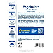 Kiepenkerl Profi-Line Blumensamen Vogelmiere Grünfutter Pflanzen (Stellaria media, 1 m²) | BAUHAUS
