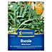 Kiepenkerl Profi-Line Salatsamen Rucola Wilde Rauke 