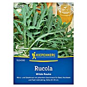 Kiepenkerl Profi-Line Salatsamen Rucola Wilde Rauke (Diplotaxis tenuifolia, Erntezeit: Ganzjährig) | BAUHAUS