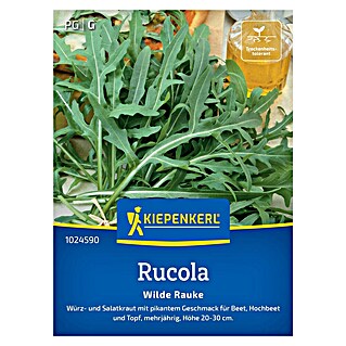 Kiepenkerl Profi-Line Salatsamen Rucola Wilde Rauke (Diplotaxis tenuifolia, Erntezeit: Ganzjährig)