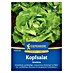 Kiepenkerl Profi-Line Salatsamen Kopfsalat Analena 