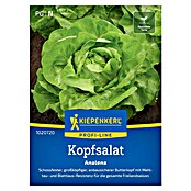 Kiepenkerl Profi-Line Salatsamen Kopfsalat Analena (Lactuca sativa var. capitata, Erntezeit: Mai) | BAUHAUS