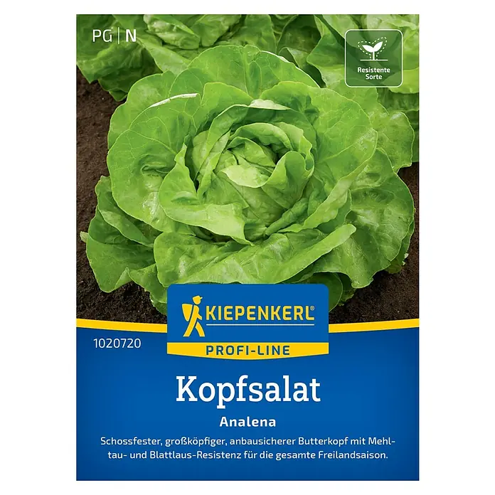 Kiepenkerl Profi-Line Salatsamen Kopfsalat Analena - Lactuca sativa var. capitata, Erntezeit: Mai - Abbildung eines "Kopfsalat Analena"-Samens von Kiepenkerl, einer widerstandsfähigen Sorte für den ganzjährigen Anbau im Freien.