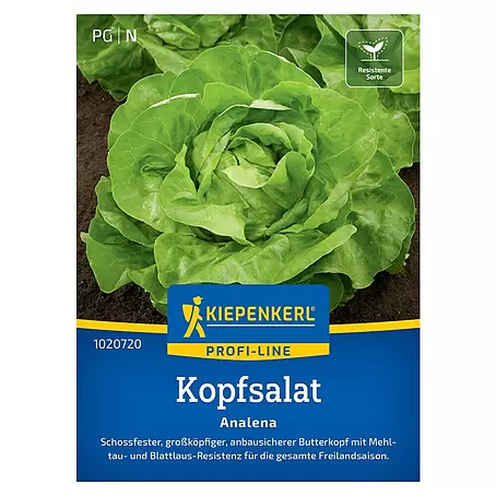 Kiepenkerl Profi-Line Salatsamen Kopfsalat Analena