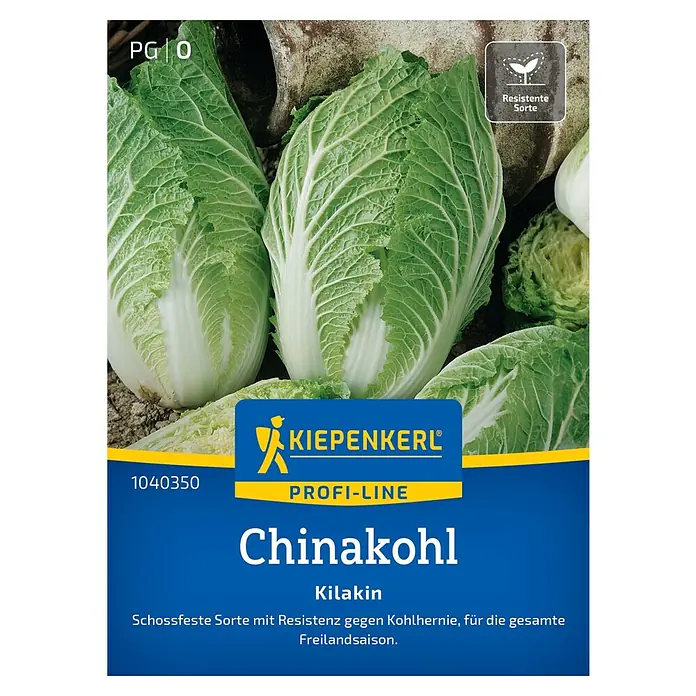 Kiepenkerl Profi-Line Gemüsesamen Chinakohl Kilakin - Brassica rapa var. pekinensis, Erntezeit: Juni - Die Packung Chinakohl 'Kilakin' Samen von Kiepenkerl Profi-Line verspricht eine schossfeste Sorte mit Resistenz gegen Kohlhernie für die gesamte Saison.