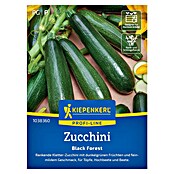 Kiepenkerl Profi-Line Gemüsesamen Zucchini Black Forest (Cucurbita pepo, Erntezeit: Juli) | BAUHAUS
