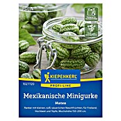 Kiepenkerl Profi-Line Gemüsesamen Mexikanische Minigurke Mateo (Melothria scabra, Erntezeit: September) | BAUHAUS