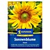 Kiepenkerl Profi-Line Blumensamen Sonnenblume Snack 
