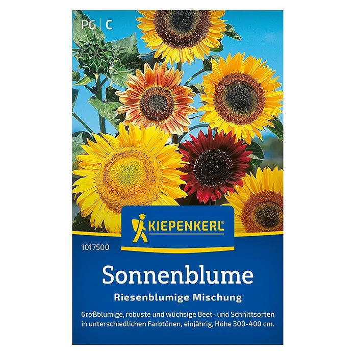 Kiepenkerl Blumensamen Sonnenblume - Helianthus annuus, Mehrfarbig - Sonnenblume "Riesenblumige Mischung" von Kiepenkerl. Eine farbenfrohe und robuste Auswahl für Beet und Schnitt.