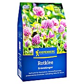 Kiepenkerl Gründüngung Rotklee (Trifolium pratense, Inhalt reicht für ca. 100 Quadratmeter) | BAUHAUS
