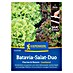 Kiepenkerl Salatsamen Batavia-Salat Florine/Rossia 