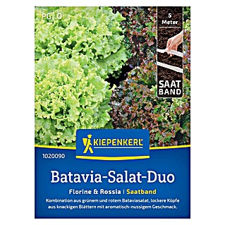 Kiepenkerl Salatsamen Batavia-Salat Florine/Rossia (Lactuca sativa, Erntezeit: Mai)