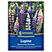 Kiepenkerl Profi-Line Blumensamenmischung Lupine Gartenzwerg 